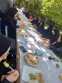 برگزاری جشنواره غذای سالم در اختتامیه هفته سلامت در فضای سبز دانشکده 