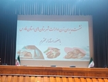 نشست مدیران زن ادارات شهرستان های استان فارس